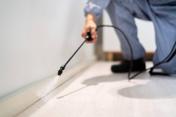 Licensed Pest Control service in Crystal City, TX - Show Me Pest Control
